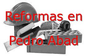 Reformas Cordoba Pedro Abad